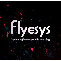 Flyesys Infotech logo - Similar company to Mlm Software Company
