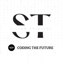 Silver Thinking logo - Similar company to Validera