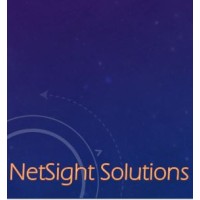 NetSight Solutions logo - Similar company to Netsight