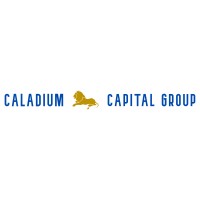 Caladium Capital Group logo - Similar company to The Calladium Group