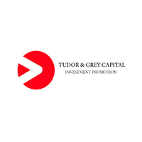 Tudor & Grey Capital logo - Similar company to Wefolklore