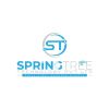 SpringTree Technology Private Limited logo - Similar company to Dolphin Software Technologies