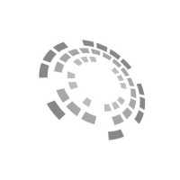 White Net 31 logo