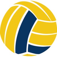 Mobile Legacy Volleyball