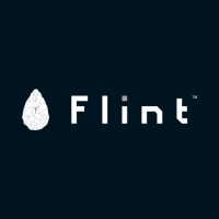 Flint logo - Similar company to Kinity