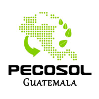 PECOSOL Guatemala logo - Similar company to Panatex