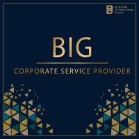 BIG Corporate Service Provider logo - Similar company to Alliance Business Advisors