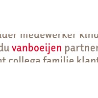 Vanboeijen logo - Similar company to Cosis