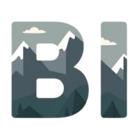 Bergmaier Innovations logo - Similar company to Stingorg Group