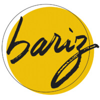 BARIZ - Agence Digitale logo - Similar company to Othontik