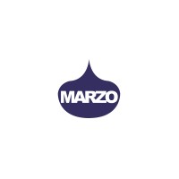 Marzo Pumps logo - Similar company to Mxbrain