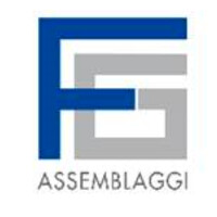 FG Assemblaggi logo - Similar company to Rpa Assemblaggi
