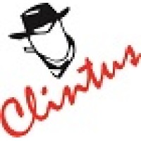 Clintus Group logo - Similar company to Informatics Computer Institute