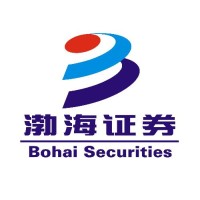 Bohai Securities Co., Ltd. logo - Similar company to Avary Group