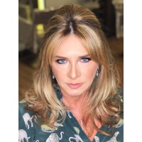 Viviane Dinamarco - Design de Interiores logo - Similar company to A3 Concept Arquitetura