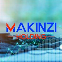 MAKINZI HOLDING logo - Similar company to Advanced Technology Co. Opc
