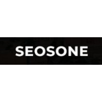 SEOSONE logo - Similar company to Beins Group