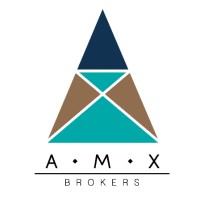AMXBrokers logo - Similar company to Zynch México Oficial