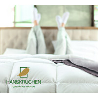 HANSKRUCHEN GmbH logo - Similar company to Eazy Case Gmbh