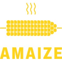 AMAIZE logo - Similar company to Re-Actio