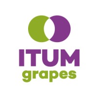 ITUM grapes logo - Similar company to Avi Srl