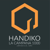 Handiko logo - Similar company to Veta Dynamic Developers