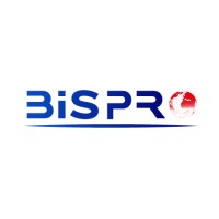 BIS PRO logo - Similar company to Informatique Pour Tous