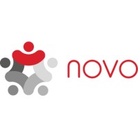 Novo logo - Similar company to Apssap