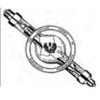 Louisiana Society of Radiologic Technologists (LSRT) logo - Similar company to Northwestern State University - School Of Allied Health