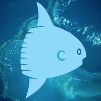 Mola Mola Yachting logo - Similar company to Isyba (Italian Ship & Yacht Brokers Association)
