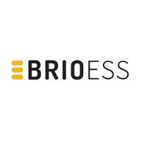 BRIOESS New Energy logo - Similar company to Wellcee