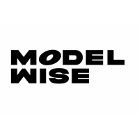 Modelwise logo - Similar company to Arat