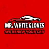 Mr. White Gloves logo - Similar company to The Esports School