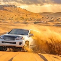 Tremendous Trips Tourism LLC logo - Similar company to Icl Lama Tourism