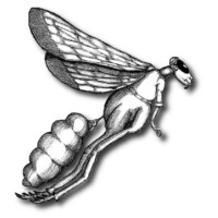 WorkerBee LLC