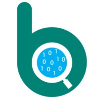 Binwary logo - Similar company to Softmind Technologies Sdn Bhd