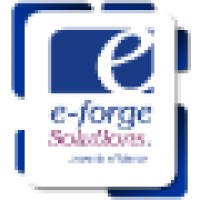 E-Forge Solutions Ltd.