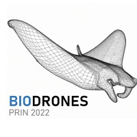 BIODRONES logo - Similar company to Dairy 4.0
