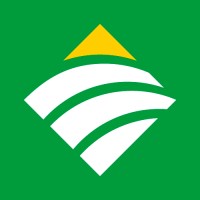 CrediSIS CapitalCredi logo - Similar company to Az Blue Marketing