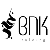 BNK Holding logo - Similar company to Cwd Solutions