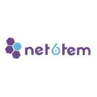 NET6TEM logo - Similar company to Genius Brio