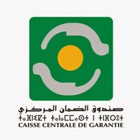 Caisse Centrale de Garantie logo - Similar company to Endev Sarl