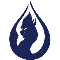 Dracoss logo - Similar company to Wehack Labs