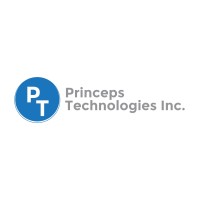 princeps technologies logo - Similar company to R Programmers