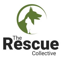 The Rescue Collective