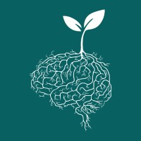 Wisdom Sprouts IT Training Hub logo - Similar company to Scalefull Technologies Llp