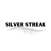Silver Streak Advisors Consultants logo - Similar company to Silver House