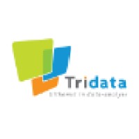Tridata logo - Similar company to Shiftbricks