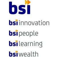 BSI Accounting logo - Similar company to Value Able