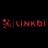 Linkbi logo - Similar company to Cezium